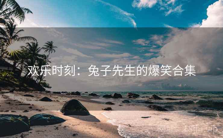 欢乐时刻：兔子先生的爆笑合集
