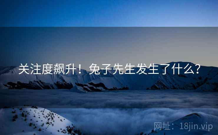 关注度飙升！兔子先生发生了什么？