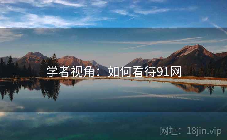 学者视角：如何看待91网