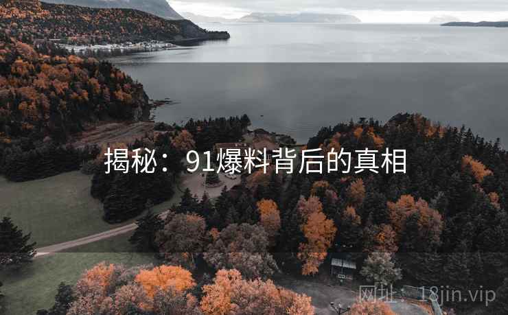 揭秘：91爆料背后的真相