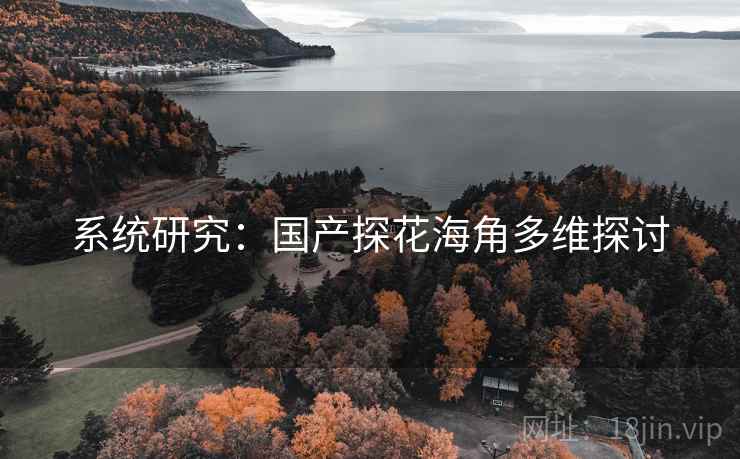 系统研究：国产探花海角多维探讨