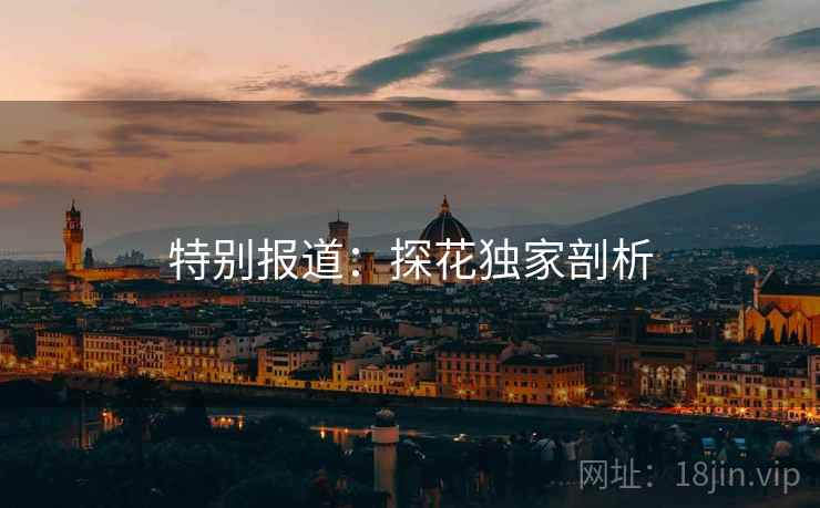特别报道：探花独家剖析