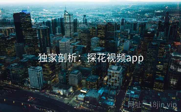 独家剖析：探花视频app