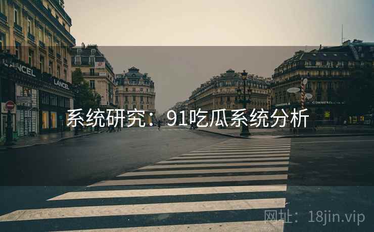 系统研究：91吃瓜系统分析