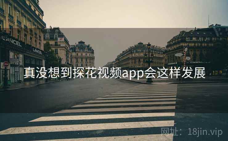 真没想到探花视频app会这样发展