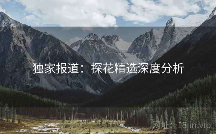 独家报道：探花精选深度分析