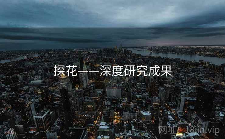 探花——深度研究成果