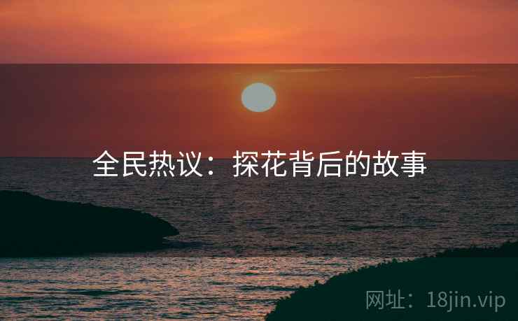 全民热议：探花背后的故事