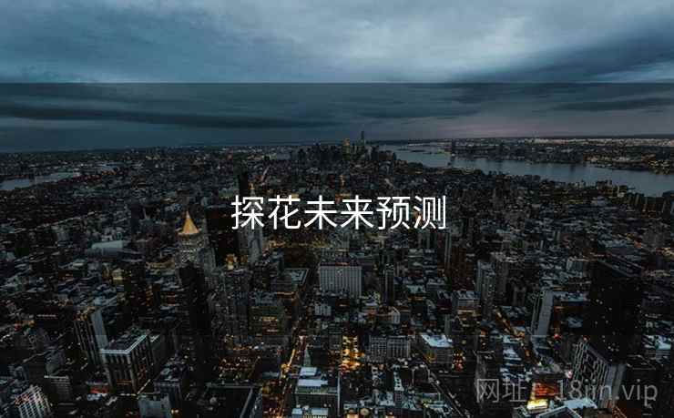 探花未来预测